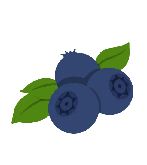 Blueberry