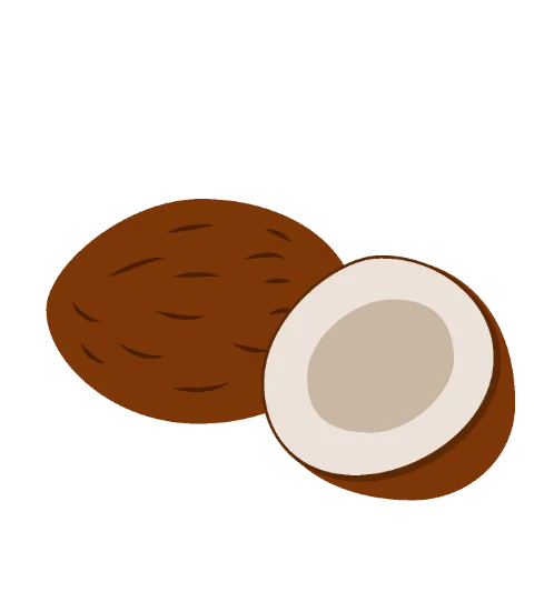 Coconut