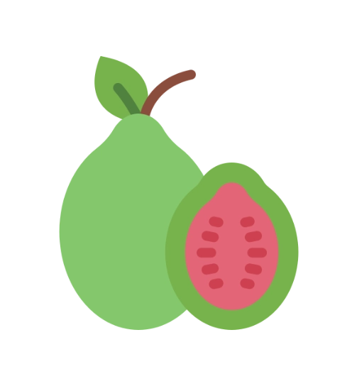 Guava